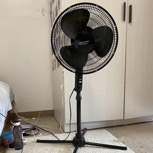 Comfort Zone Fan